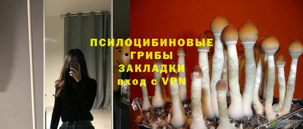эйфоретик Заводоуковск