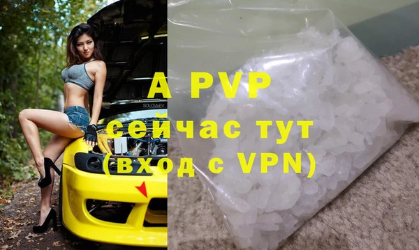 спайс Пересвет